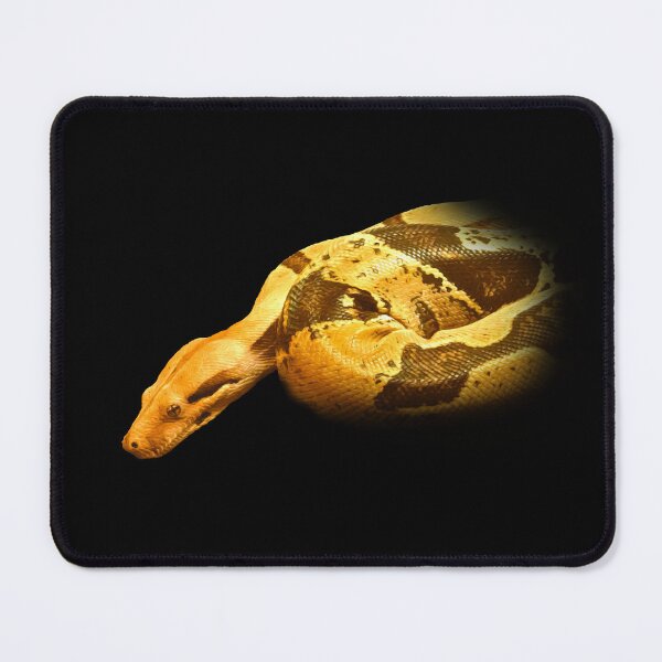 Item preview, Boa constrictor designed and sold by Guardi71.