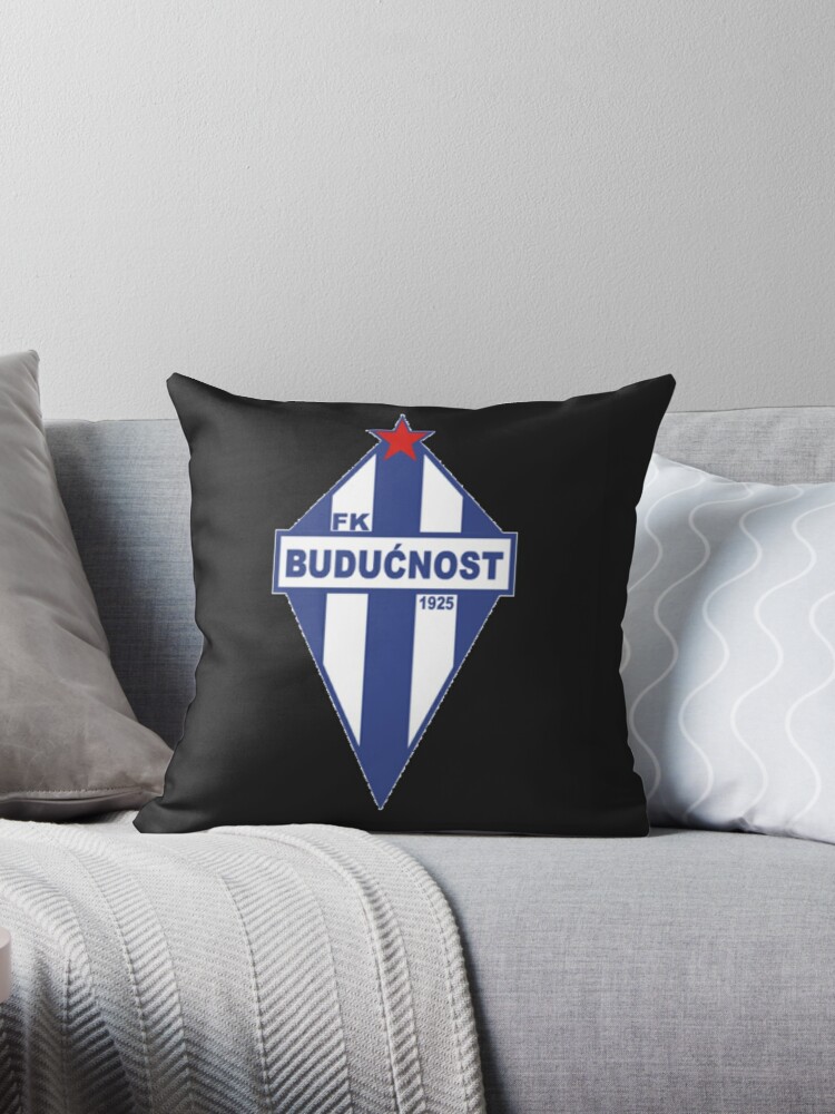 https://ih1.redbubble.net/image.5101065804.1670/throwpillow,small,750x1000-bg,f8f8f8.jpg