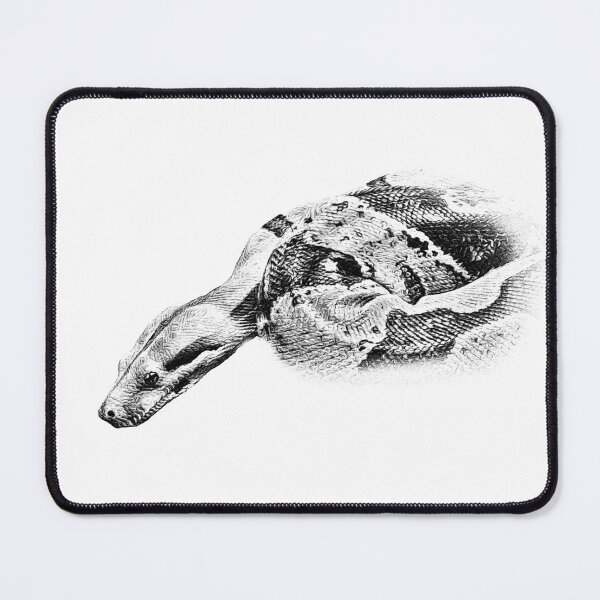 Item preview, Boa constrictor designed and sold by Guardi71.
