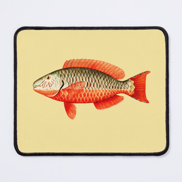 Item preview, Red Parrot Tropical Fish designed and sold by heartsake.