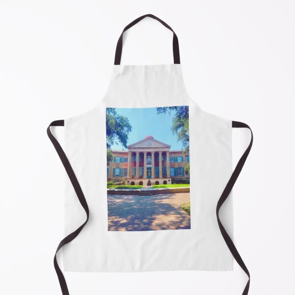 Item preview, College of Charleston's Randolph Hall designed and sold by LovingSunnyDays.