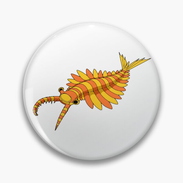 Item preview, Anomalocaris canadensis designed and sold by PaleoInvert.