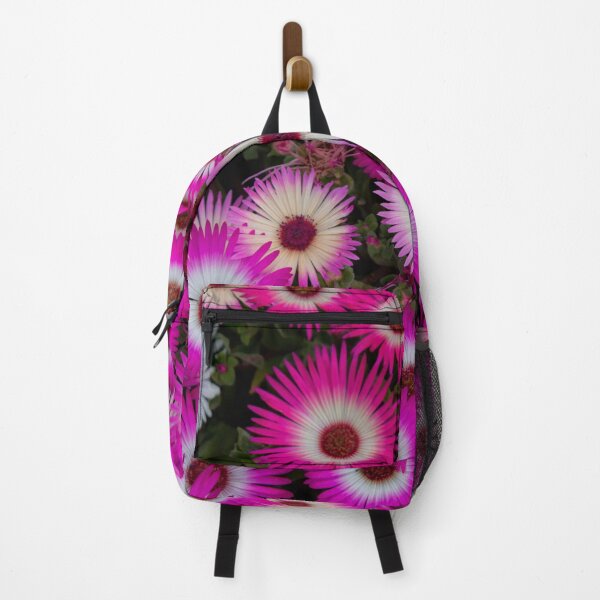 Item preview, Livingstone Daisies designed and sold by Violaman.