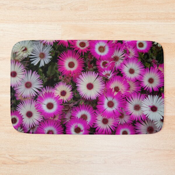 Item preview, Livingstone Daisies designed and sold by Violaman.