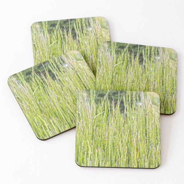 Item preview, Horsetail - Equisetum Hyemale - Kew Gardens - English Gardens designed and sold by LucaRocchini.