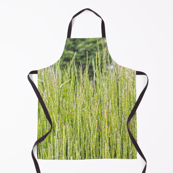 Item preview, Horsetail - Equisetum Hyemale - Kew Gardens - English Gardens designed and sold by LucaRocchini.