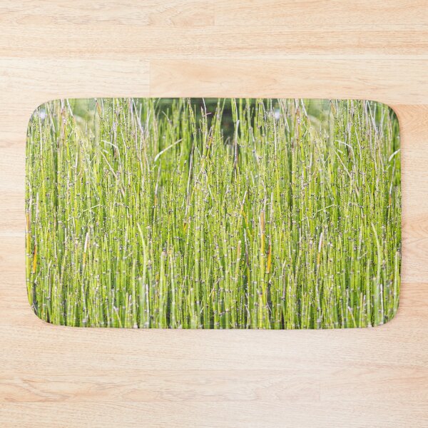 Item preview, Horsetail - Equisetum Hyemale - Kew Gardens - English Gardens designed and sold by LucaRocchini.