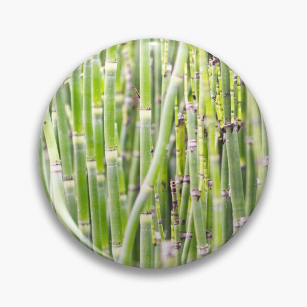 Item preview, Horsetail - Equisetum Hyemale 2 - Kew Gardens - English Gardens designed and sold by LucaRocchini.