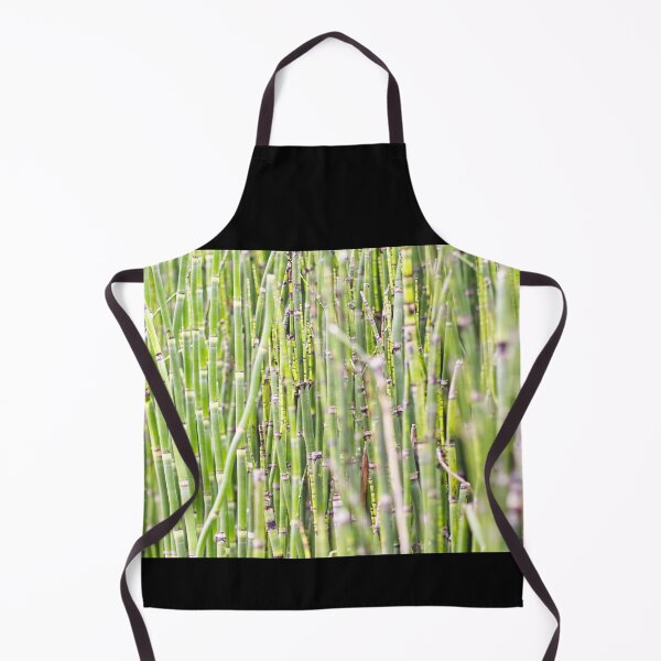 Item preview, Horsetail - Equisetum Hyemale 2 - Kew Gardens - English Gardens designed and sold by LucaRocchini.