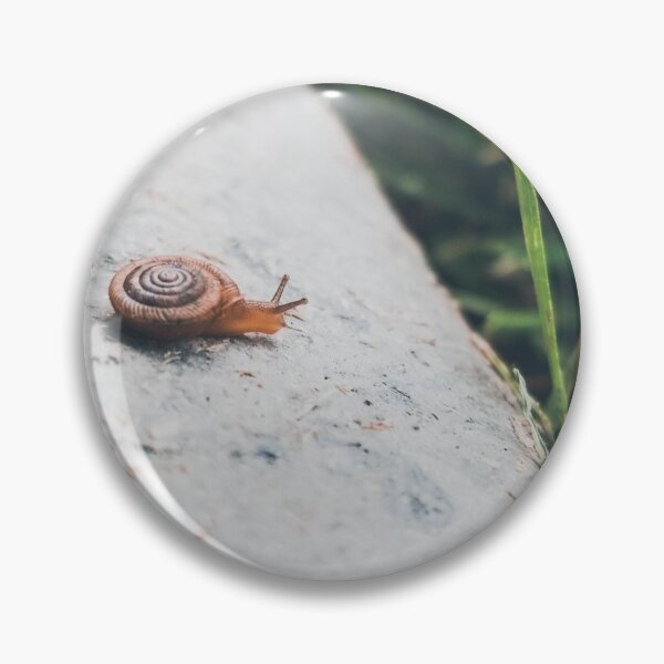 Item preview, Slow But Steady  designed and sold by Bluehousedes.