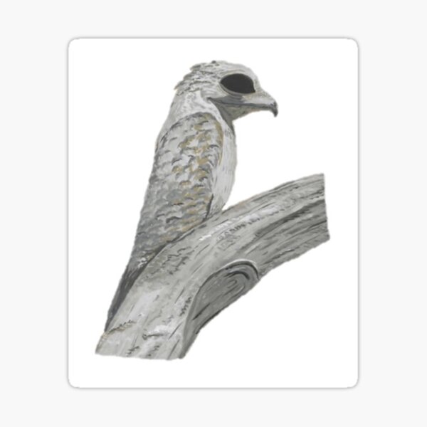 Item preview, Great Potoo designed and sold by kjthurow.