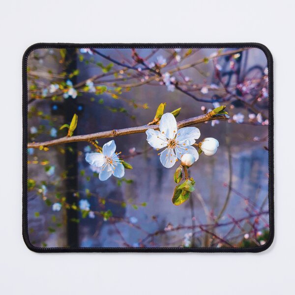 Item preview, Cherry blossom designed and sold by Fionatravels.