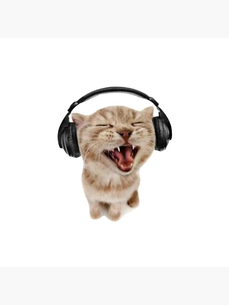 Cat with headphones