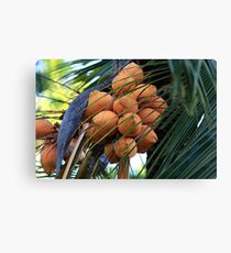 Fruitful Canvas Print