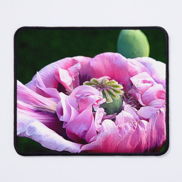 Item preview, Pink Poppy designed and sold by angel1.