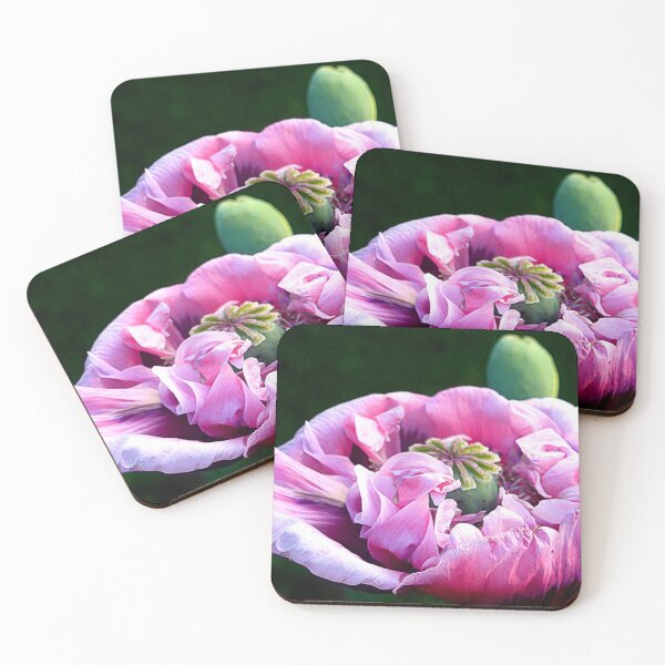 Item preview, Pink Poppy designed and sold by angel1.