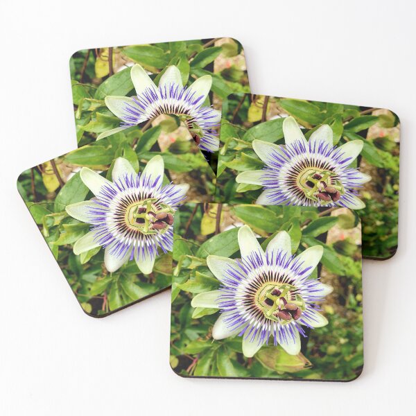 Item preview, Exotic flower designed and sold by Fionatravels.