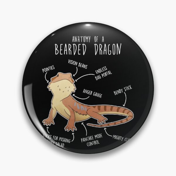 Item preview, Bearded Dragon Lizard Reptile Anatomy designed and sold by Clara Hollins.