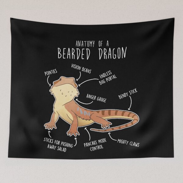 Item preview, Bearded Dragon Lizard Reptile Anatomy designed and sold by Clara Hollins.