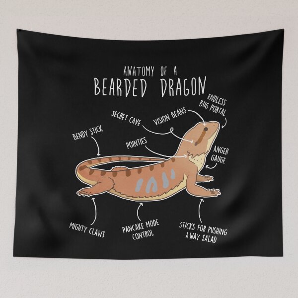 Item preview, Bearded Dragon Lizard Reptile Anatomy designed and sold by Clara Hollins.
