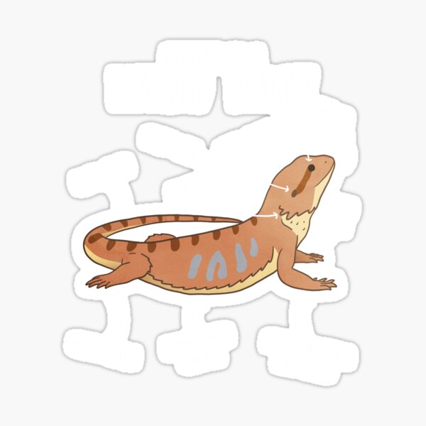 Item preview, Bearded Dragon Lizard Reptile Anatomy designed and sold by Clara Hollins.