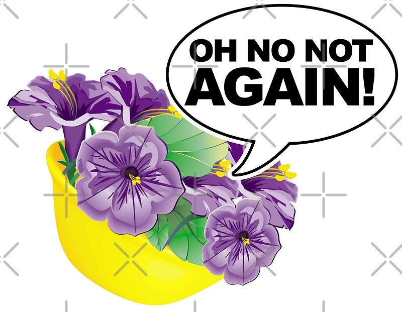 Bowl Of Petunias Oh No Not Again