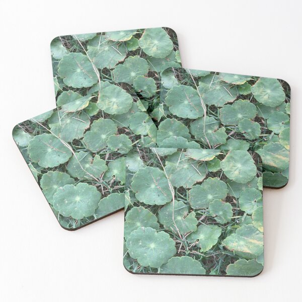 Item preview, Designs in Nature designed and sold by Colorcollage.
