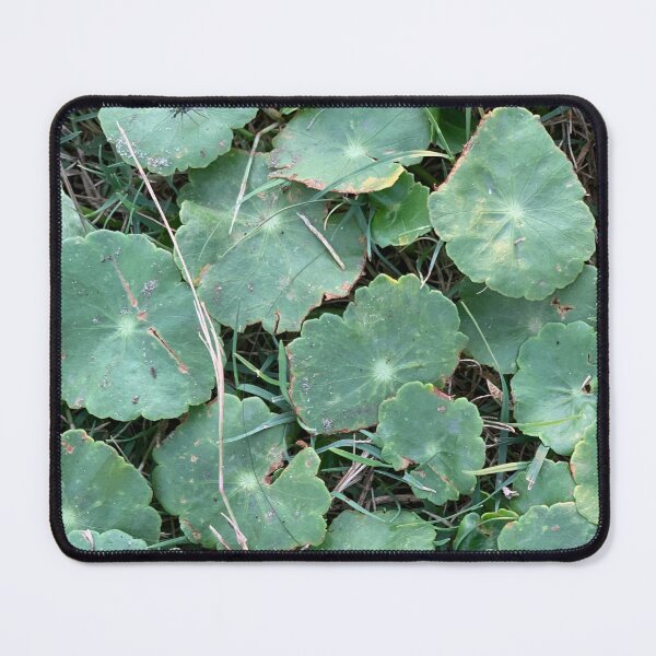 Item preview, Designs in Nature designed and sold by Colorcollage.