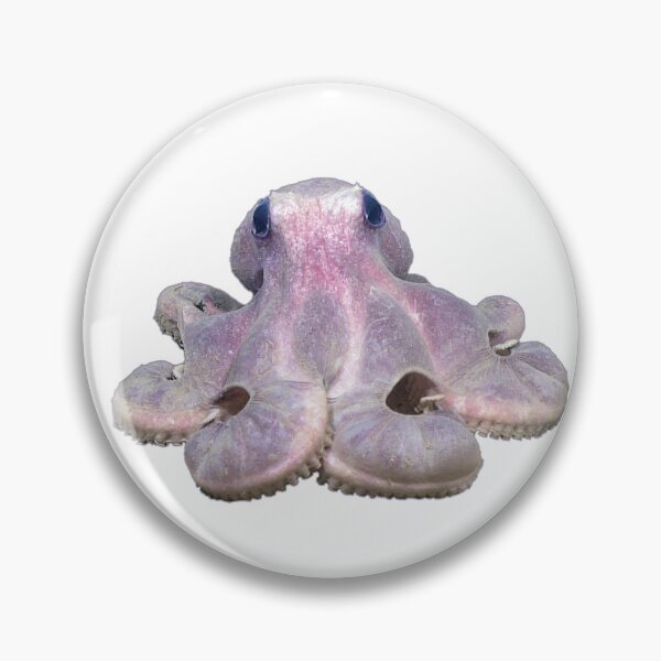Item preview, Sitting Pretty Octopus, in original color designed and sold by DreamingBeetle.