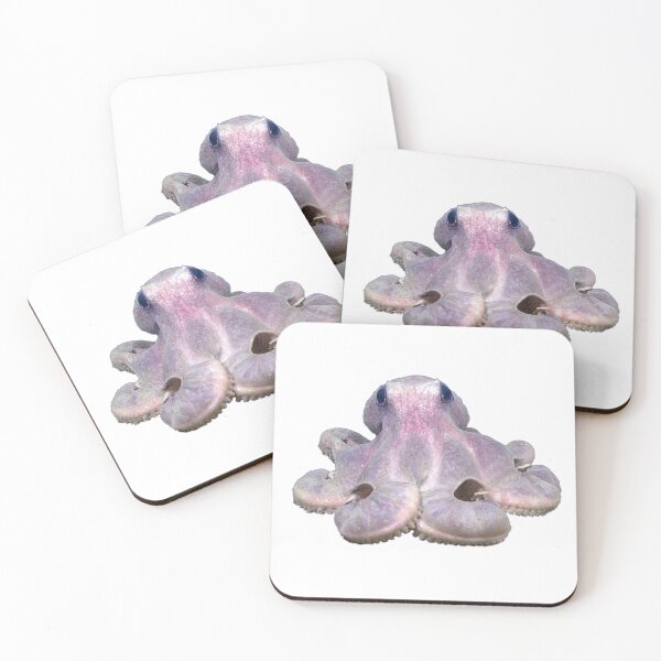 Item preview, Sitting Pretty Octopus, in original color designed and sold by DreamingBeetle.
