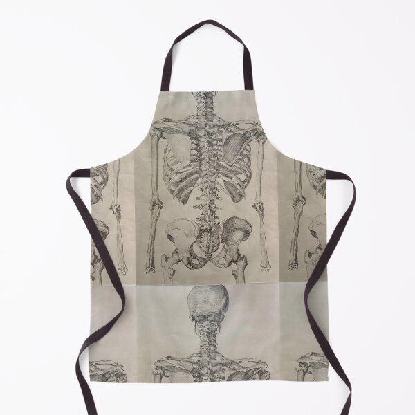 Item preview, Skeleton Torso Posterior View designed and sold by Michelle Rutkowski.
