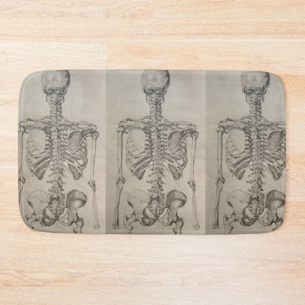 Item preview, Skeleton Torso Posterior View designed and sold by Michelle Rutkowski.