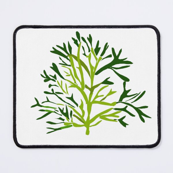 Item preview, Codium fragile designed and sold by scratchedhand.