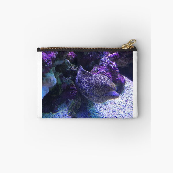 Item preview, Moray eel designed and sold by Nature Photography by Wendi Gordon.