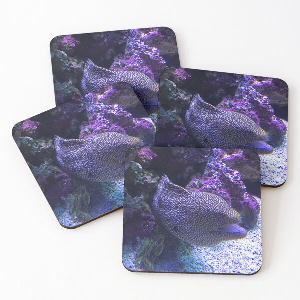 Item preview, Moray eel designed and sold by Nature Photography by Wendi Gordon.
