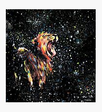 the lion sleeps no more Photographic Print
