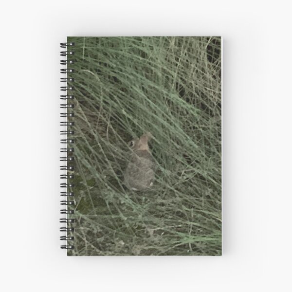 Baby bunny rabbit Spiral Notebook