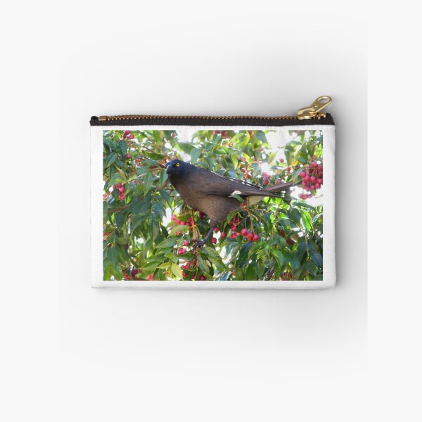 Item preview, Currawong disturbed from stuffing himself on red berries designed and sold by NezWez.