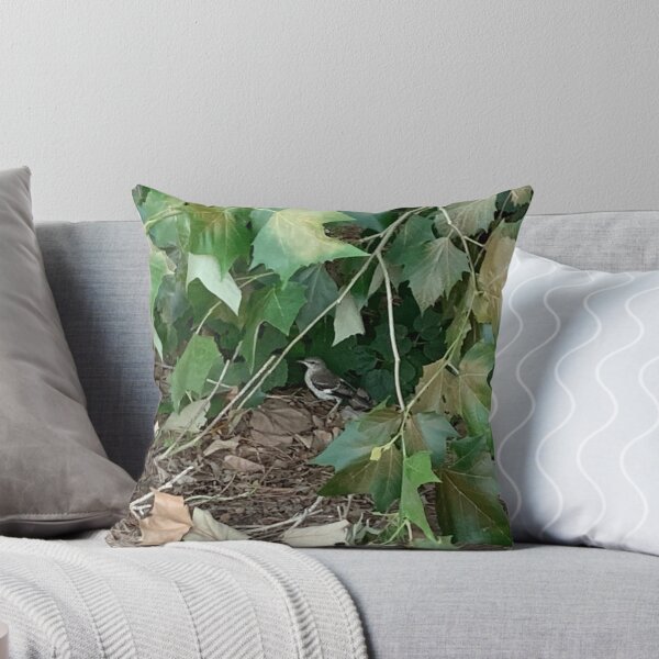 Item preview, Small bird nestled among leafy tree branches  designed and sold by Nature Photography by Wendi Gordon.