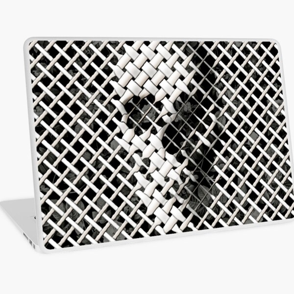 Wicker Skull Laptop Skin