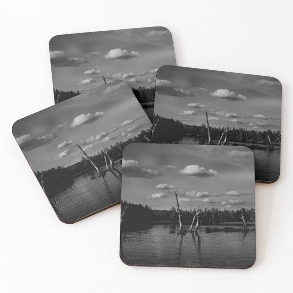 Item preview, Umbagog Monochrome designed and sold by Wayne King.