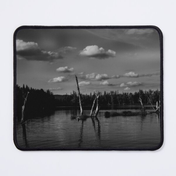 Item preview, Umbagog Monochrome designed and sold by Wayne King.