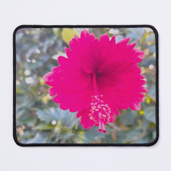 Item preview, pink hibiscus flower designed and sold by AASES.