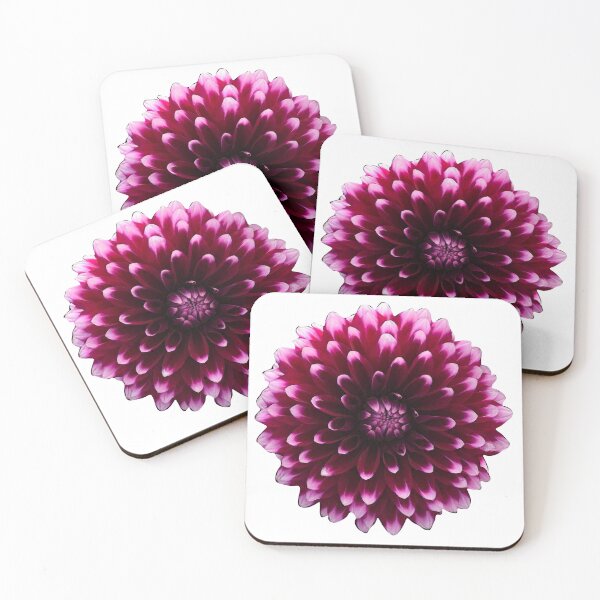 Item preview, Watercolor Double Dahlia in Dark Pink designed and sold by AmyWhy.