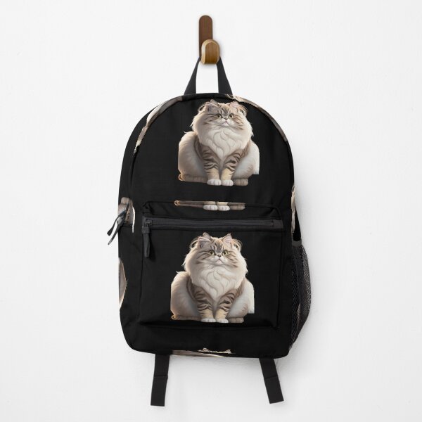 Item preview, Exotic kitten is a breed designed and sold by Teddy  Martin  Estrada.