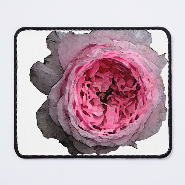 Item preview, Pink Heirloom Watercolor Rose designed and sold by AmyWhy.