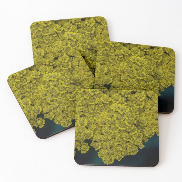 Item preview, Photograph of Yellow Yarrow flowers designed and sold by JenCargilePhoto.
