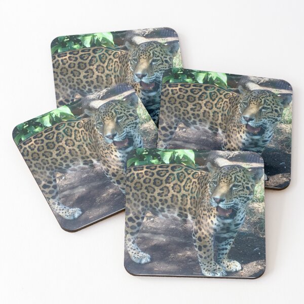 Item preview, Jaguar designed and sold by Nature Photography by Wendi Gordon.