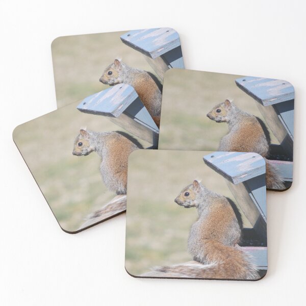 Item preview, Canadian Squirrel at a bird feeder designed and sold by AlishaWatson.