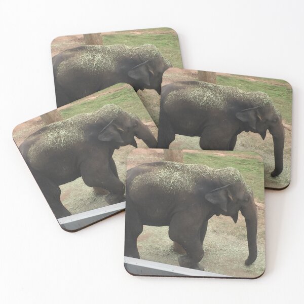 Item preview, Elephant covered with grass designed and sold by Nature Photography by Wendi Gordon.